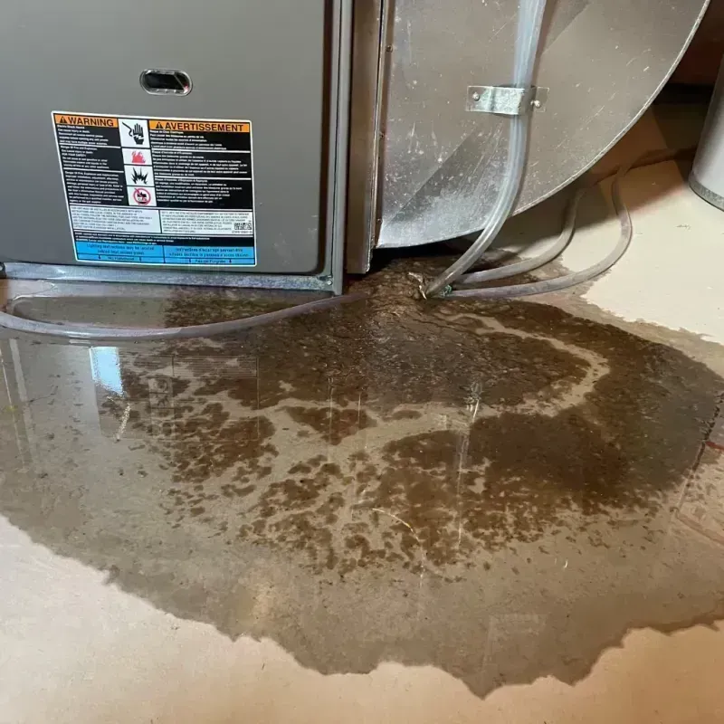 Appliance Leak Cleanup in Rock Falls, IL